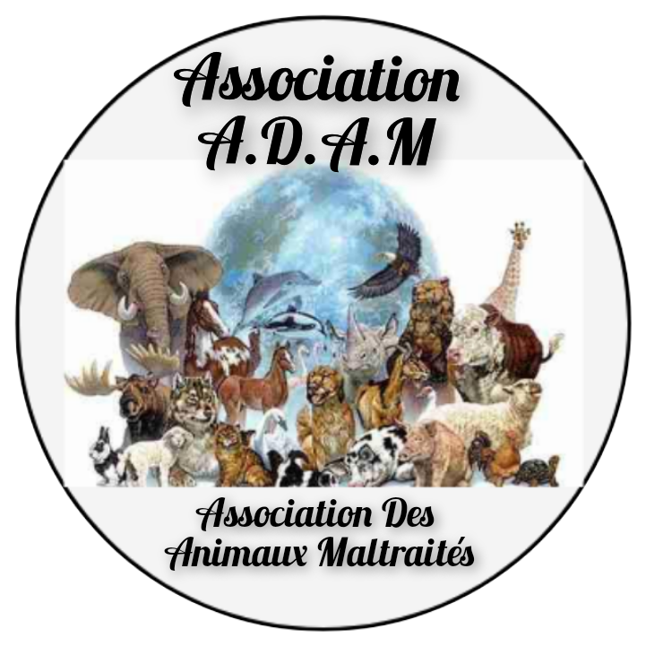 Association ADAM (association des animaux maltraités)