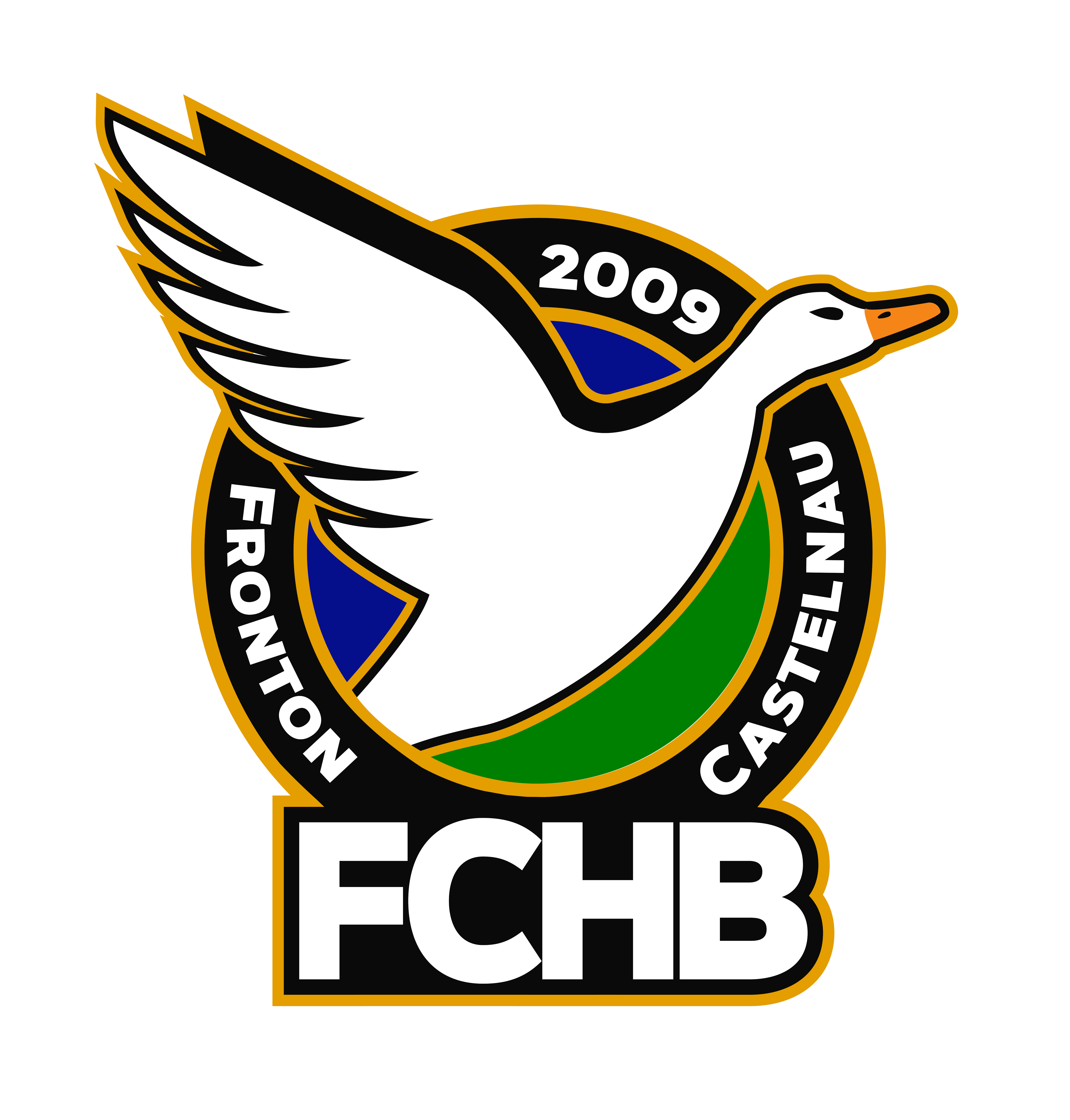 Fronton Castelnau Handball