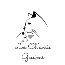Les Ch'amis Gessiens