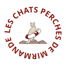 Les chats perchés de Mirmande