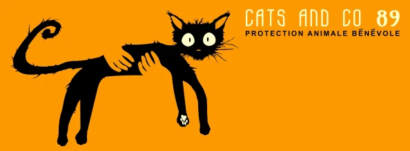 Cats and co 89