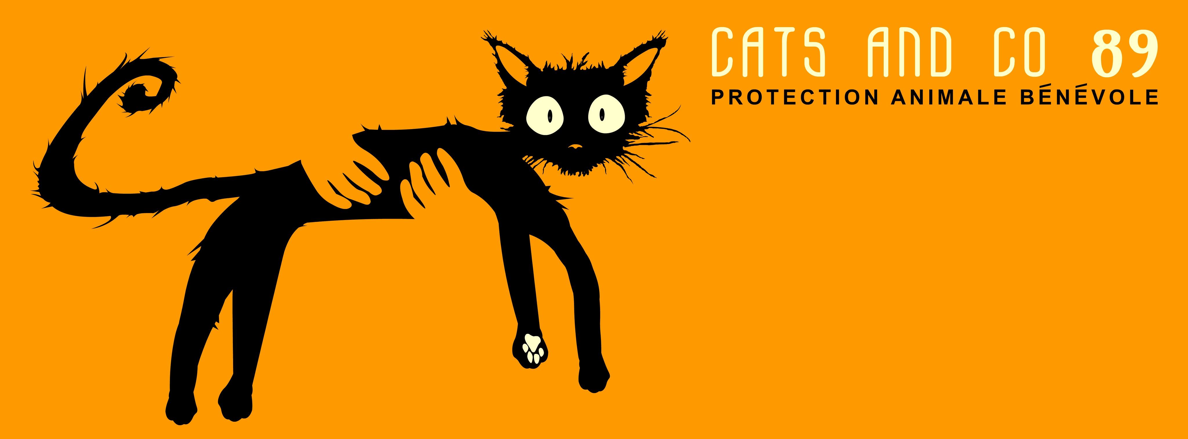 Cats and co 89