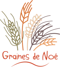 GRAINES DE NOE