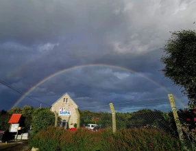 Societé Havraise de Protection des Animaux