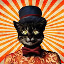 LE CHAT BARRE