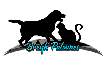 Breizh Patounes