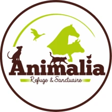 Animalia Refuge Sanctuaire