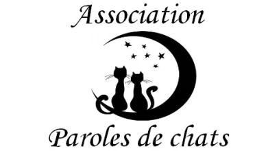 Paroles de chats