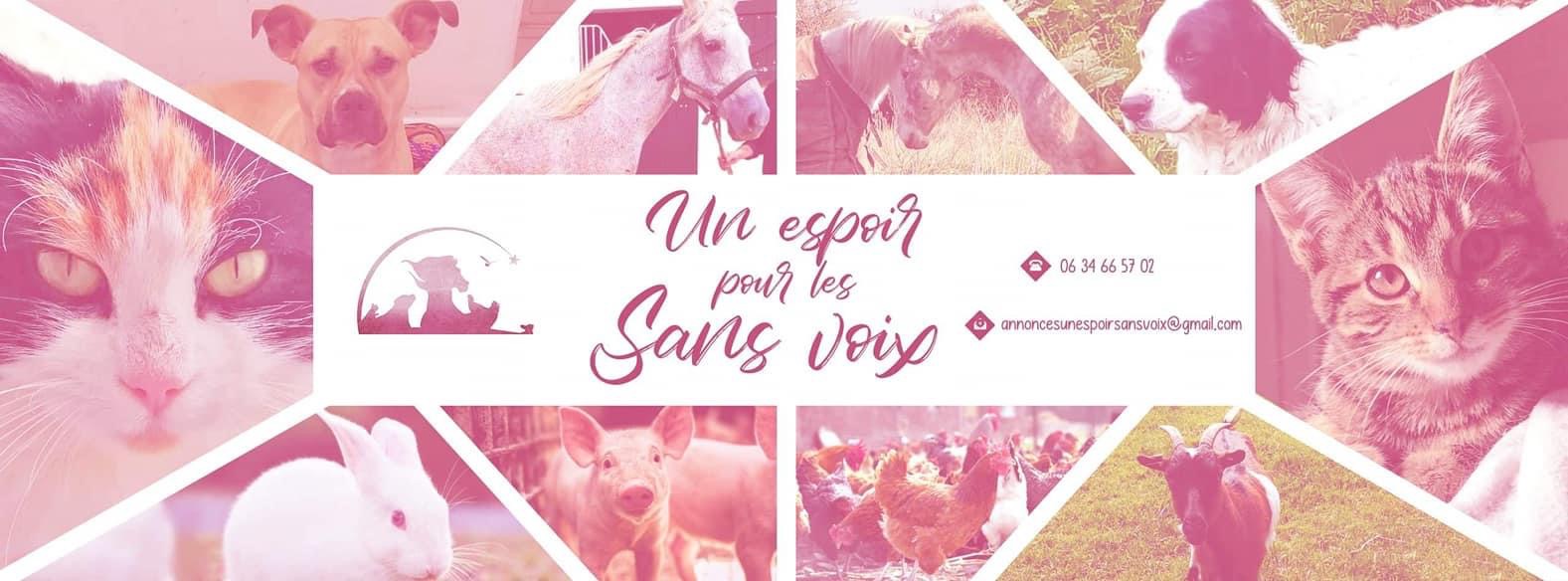 UN ESPOIR POUR LES SANS VOIX