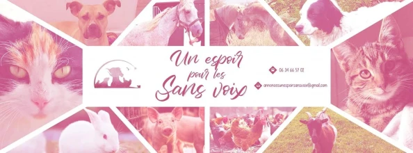 UN ESPOIR POUR LES SANS VOIX