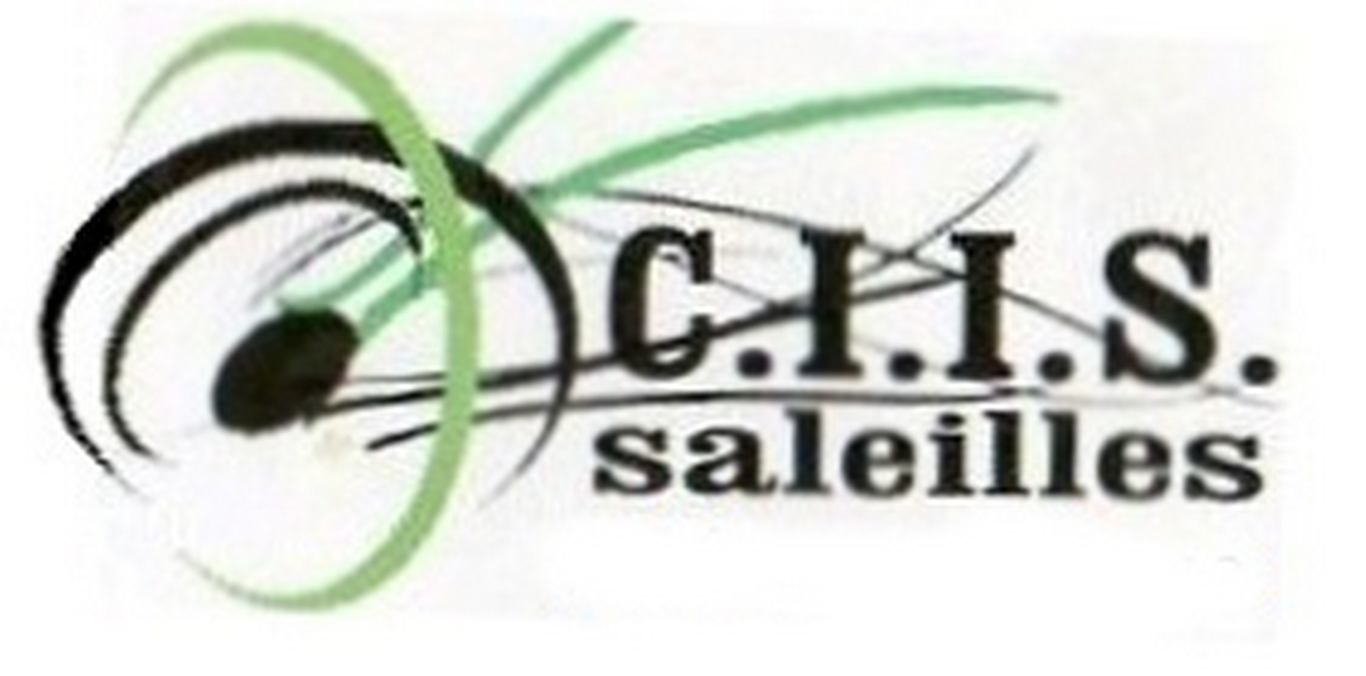 Club Initiation informatique de Saleilles (CIIS)