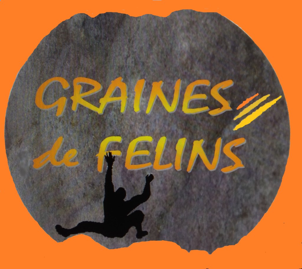 Graines de Félins