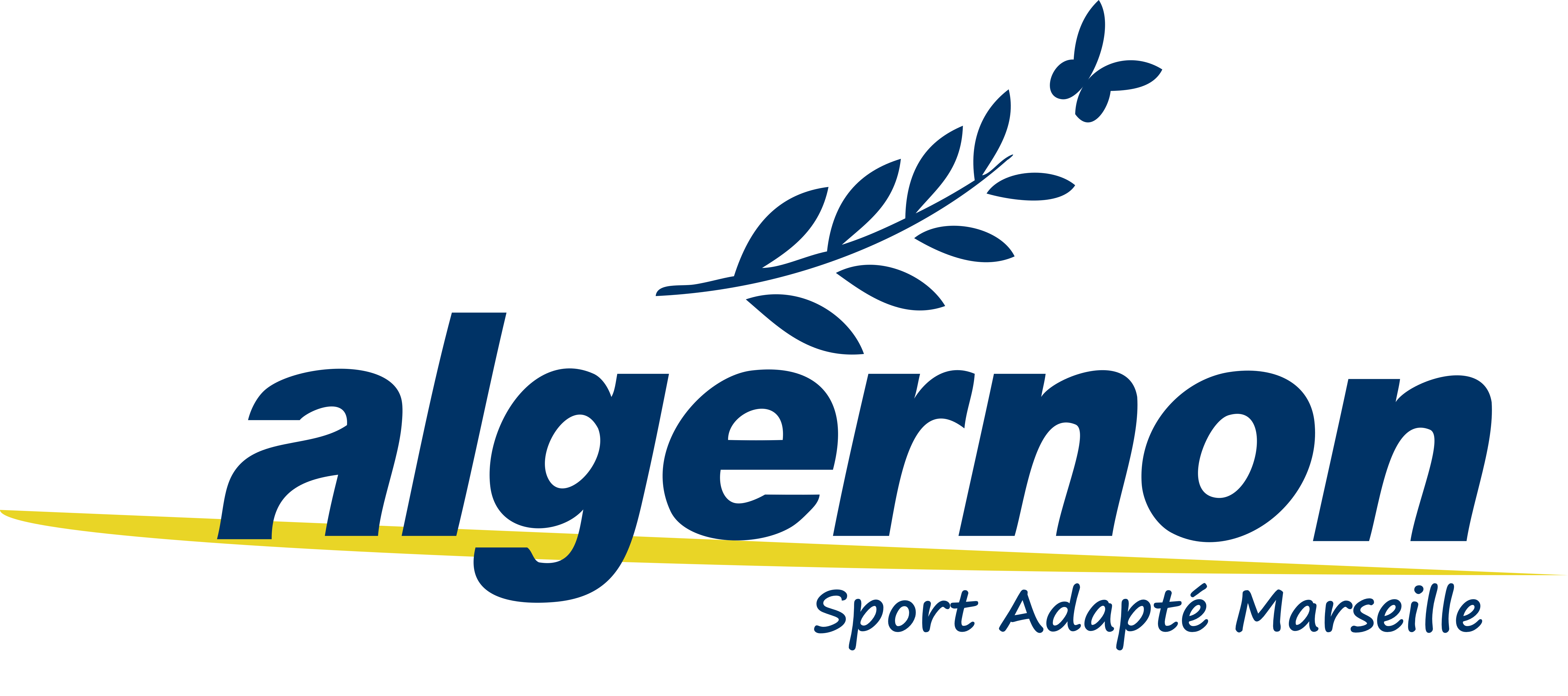 Association Algernon