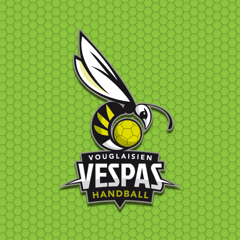 Vespas Handball Vouglaisien