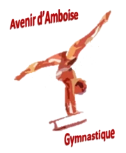 Avenir d'Amboise Gymnastique