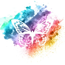 Association Les Ailes Invisibles