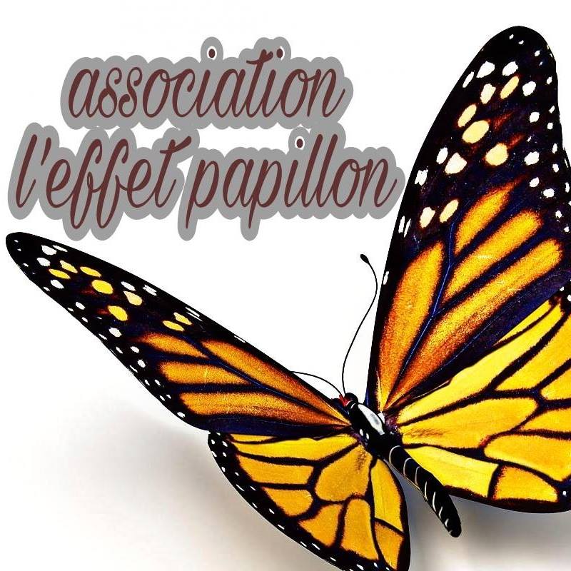 L'Effet Papillon