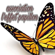 L'Effet Papillon