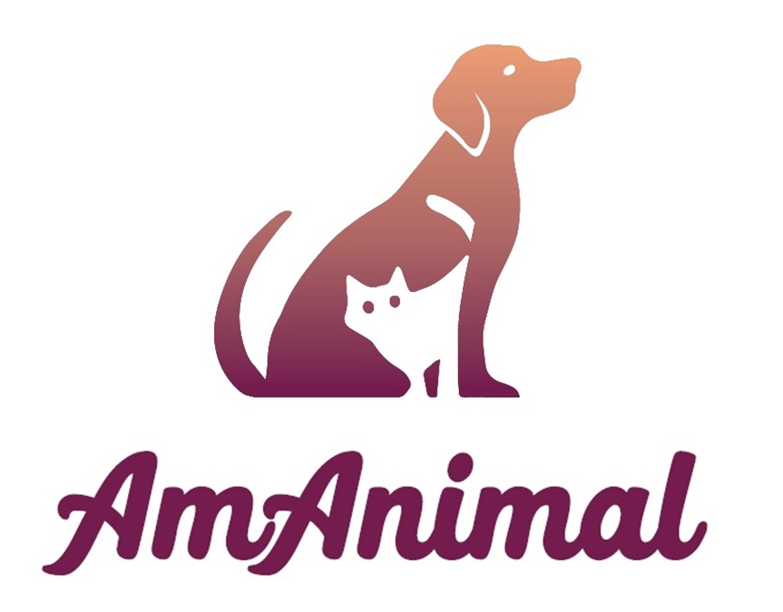 Association AmAnimal