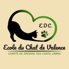 ECOLE DU CHAT DE VALENCE