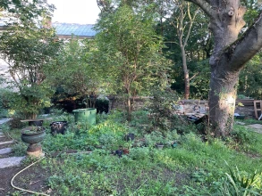 Jardin santé et partage