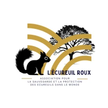 L'écureuil roux