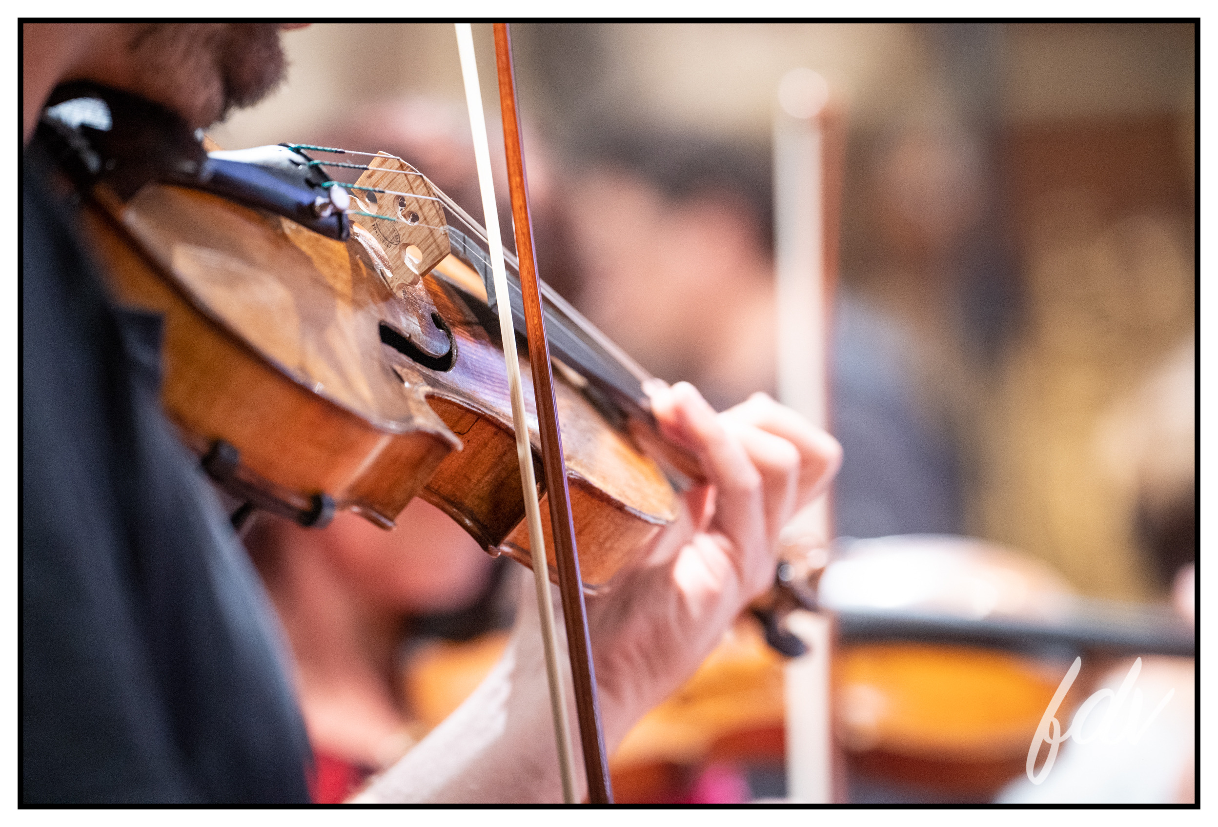 LES AMIS DU FESTIVAL DE LA VEZERE