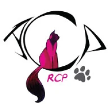 REGROUPEMENT DES CHATS PERDUS