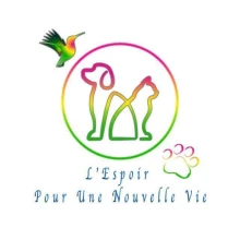 L'espoir Pour Une Nouvelle Vie