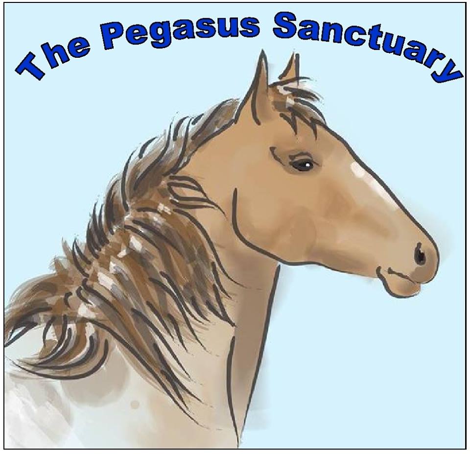 The Pegasus Sanctuary