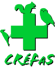 Centre régional de sauvegarde de la faune sauvage caussenard