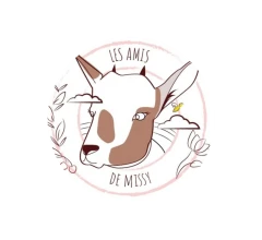 Les Amis de Missy