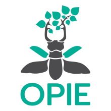 Office pour les insectes et leur environnement