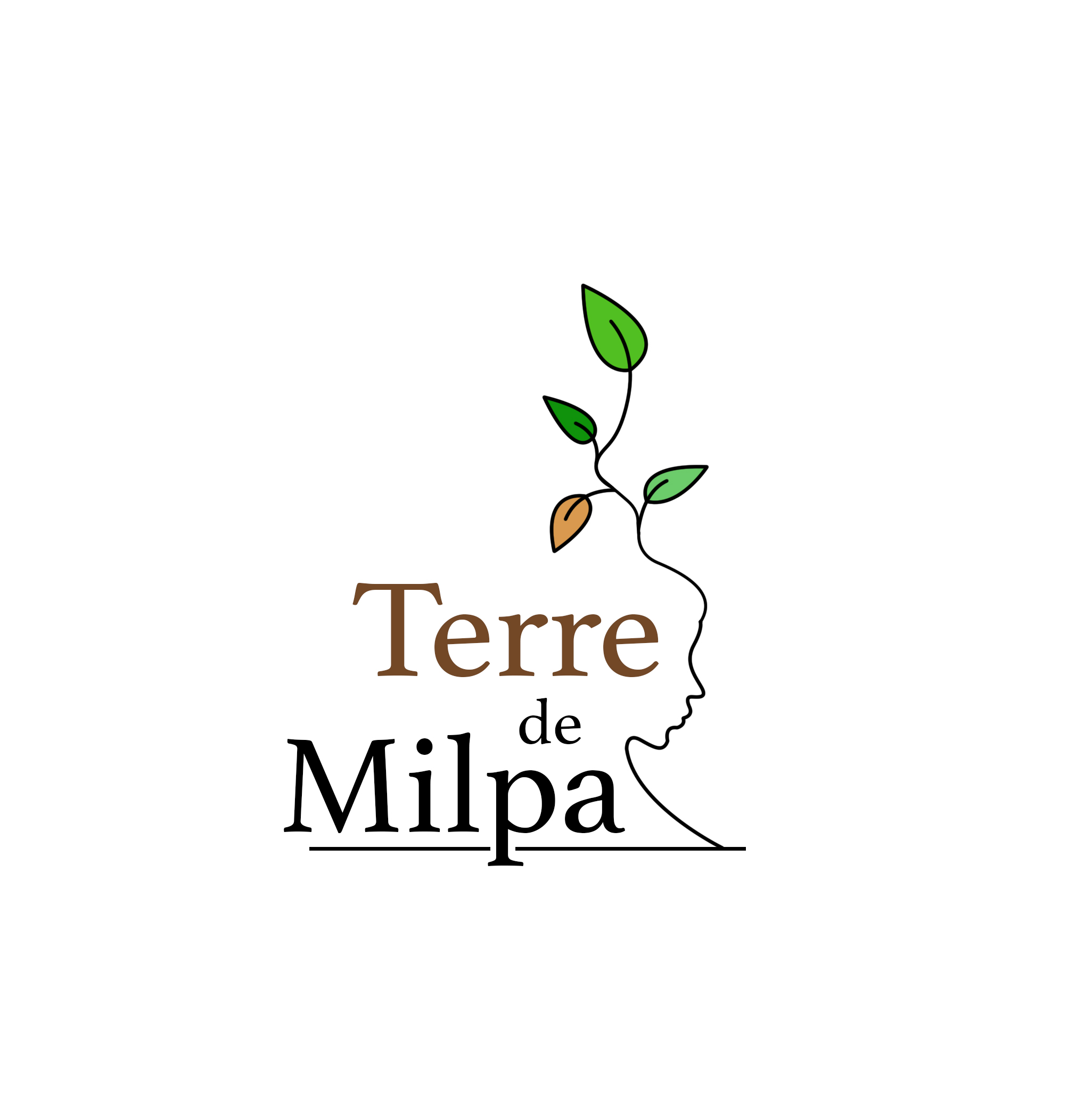 TERRE DE MILPA