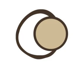 Association Clair Obscur