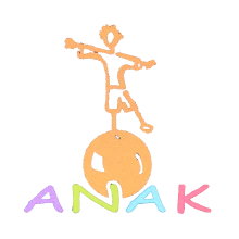 ANAK Aide aux Enfants d'Indonésie