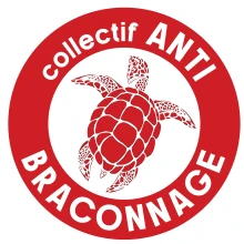 Protection et Conservation des Tortues Marines de Mayotte
