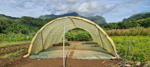 Association Insertion Environnement Réunion