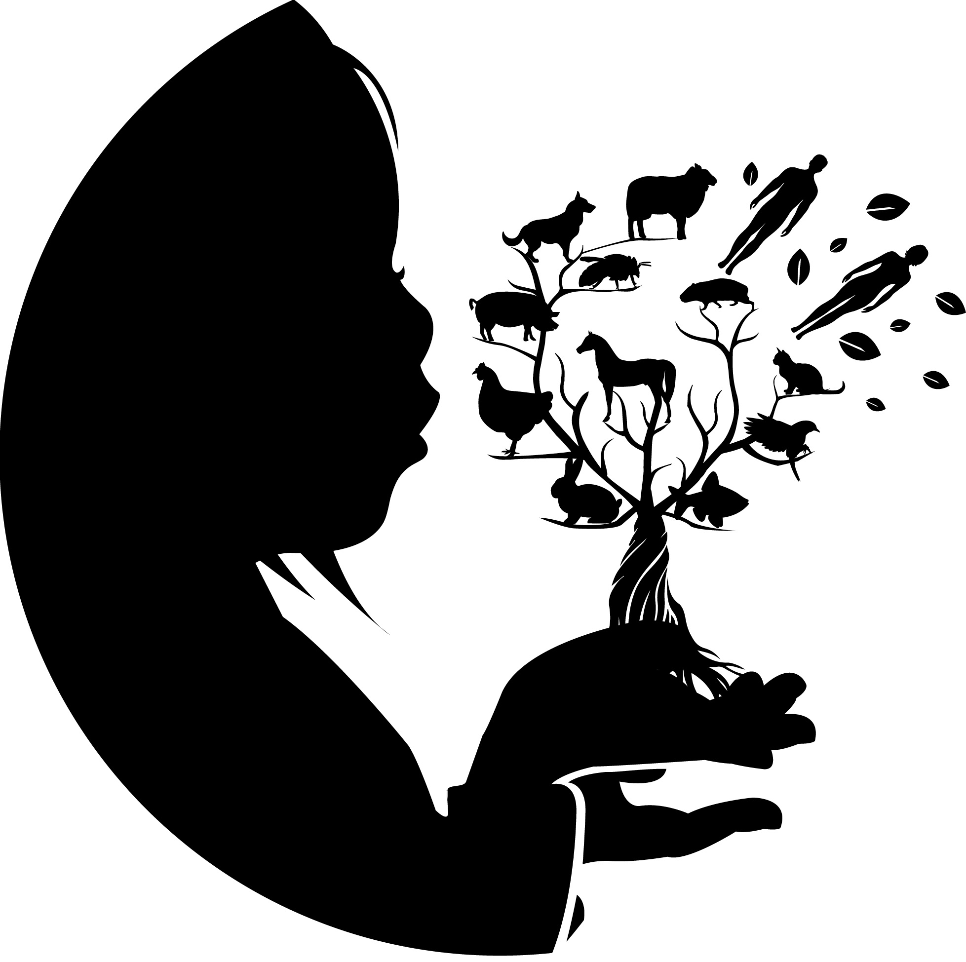 Sanctuaire animalier Le moulin d'élina